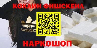 индика Можга