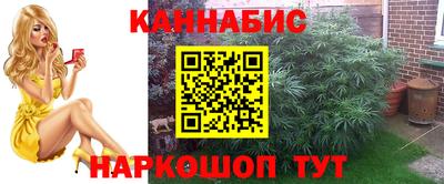 а пвп мука Моздок