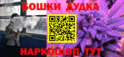 индика Можга