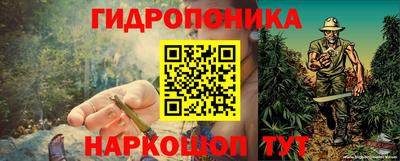 индика Можга