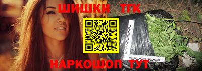 индика Можга
