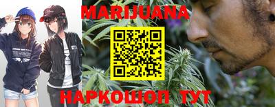 индика Можга