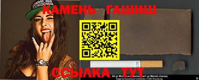 индика Можга