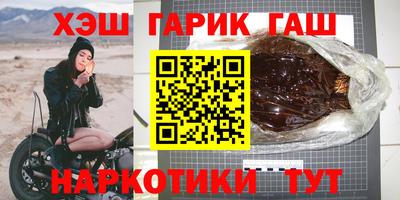 индика Можга