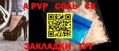 индика Можга