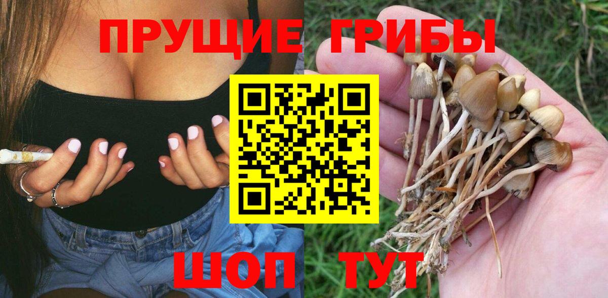 Галлюциногенные грибы Cubensis  Вход с VPN  Галлюциногенные грибы Psilocybe  Севастополь 